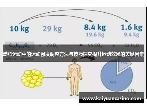 燃脂运动中的运动强度调整方法与技巧探究提升运动效果的关键因素